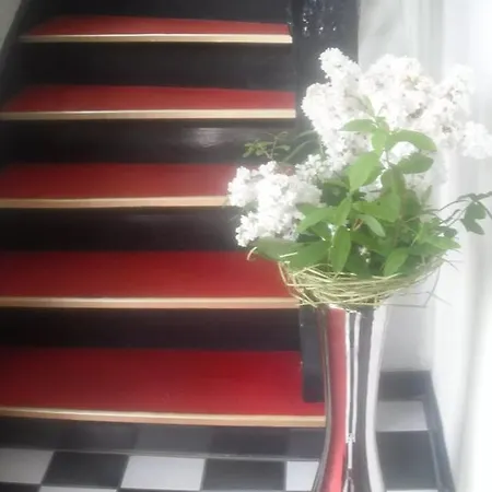 Bed Books & Breakfast Apartment